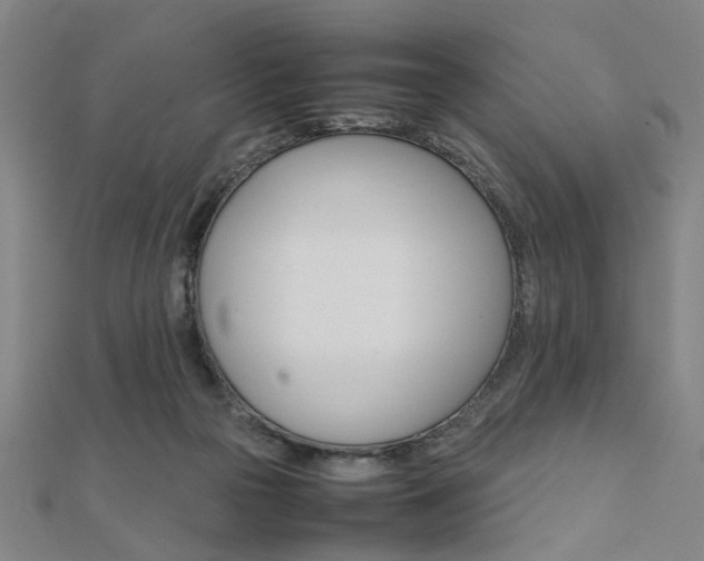 X0000112050169200908040957