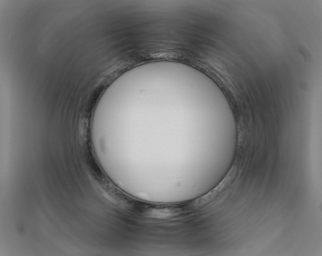 X0000112050171200908040957