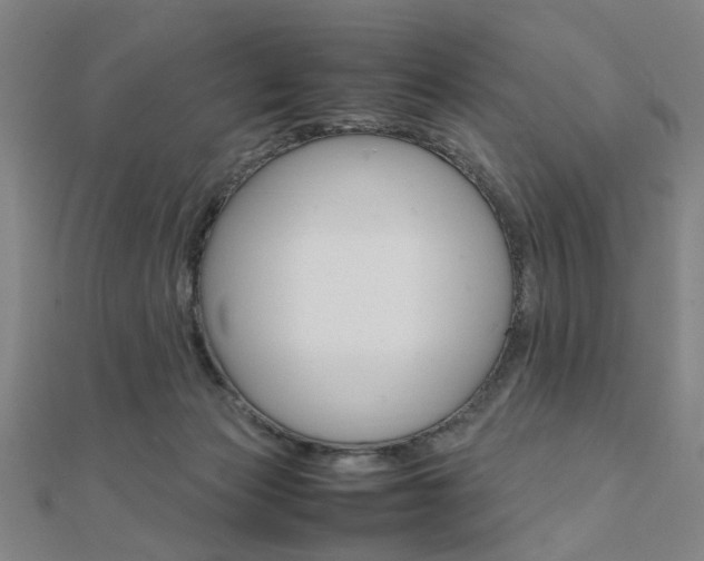 X0000112050173200908040957