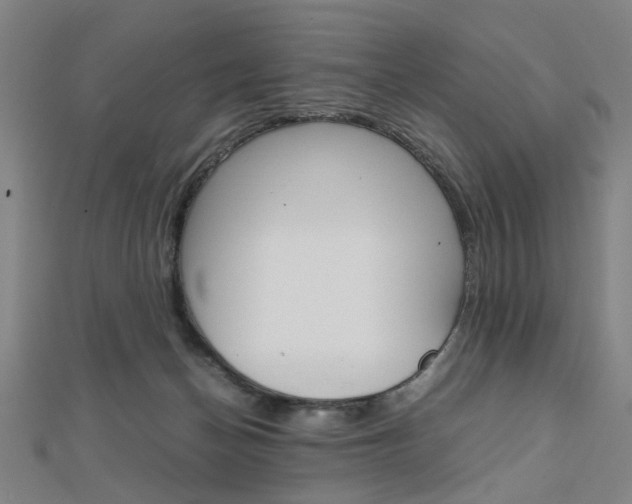 X0000112050174200908040957