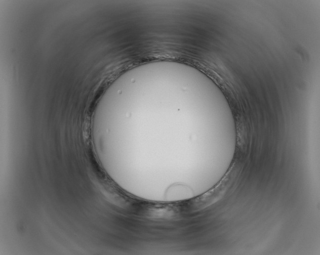 X0000112050175200908040957