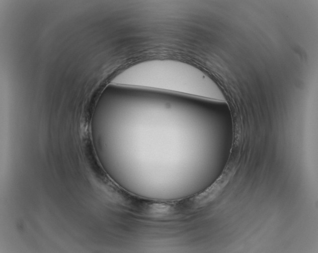 X0000112050176200908040957