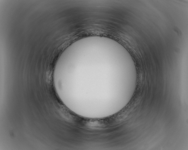 X0000112050177200908040957