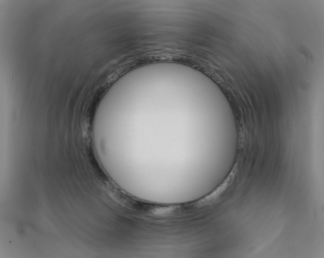 X0000112050178200908040957