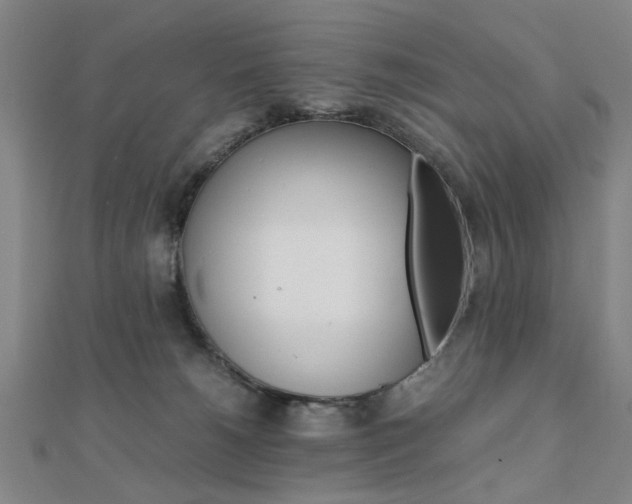 X0000112050180200908040957