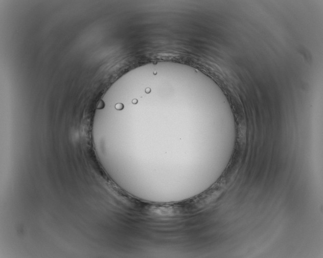 X0000112050181200908040957