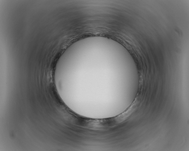 X0000112050182200908040957