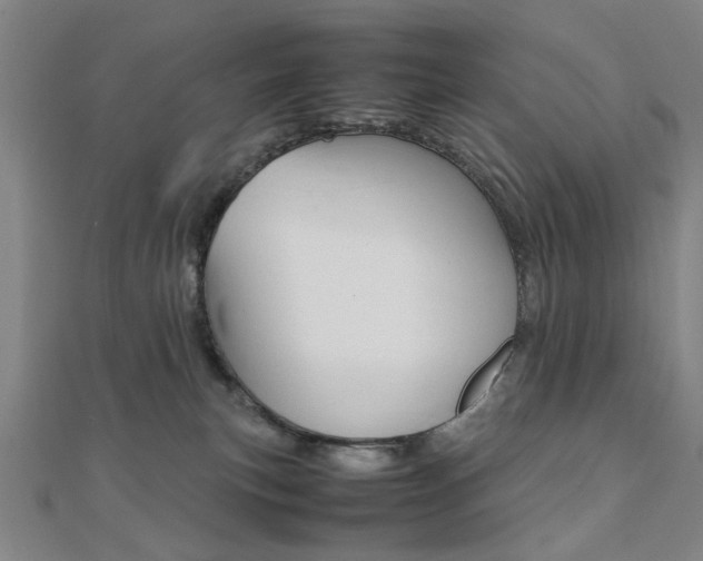 X0000112050183200908040957