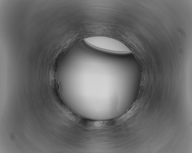 X0000112050184200908040957