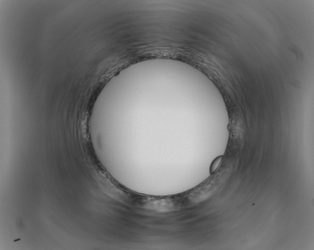 X0000112050185200908040957
