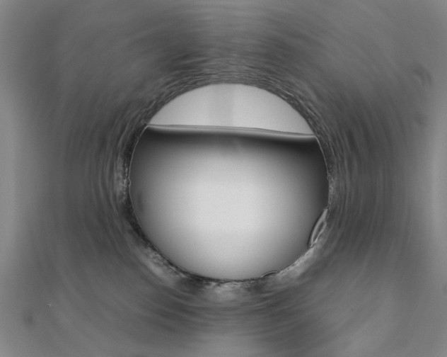 X0000112050186200908040957
