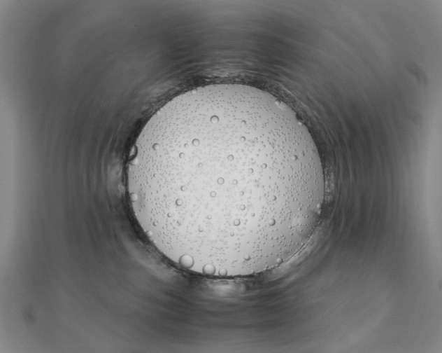 X0000112050187200908040957