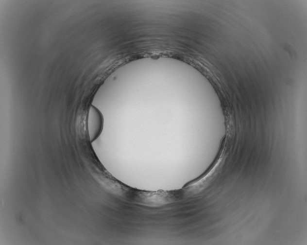 X0000112050191200908040957