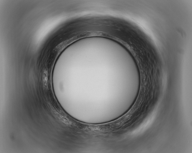 X0000112050194200908040957