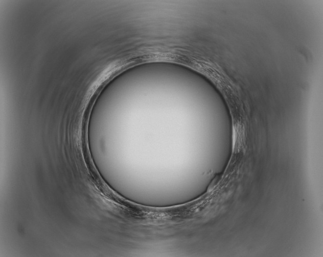X0000112050195200908040957