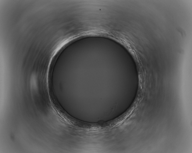 X0000112050196200908040957
