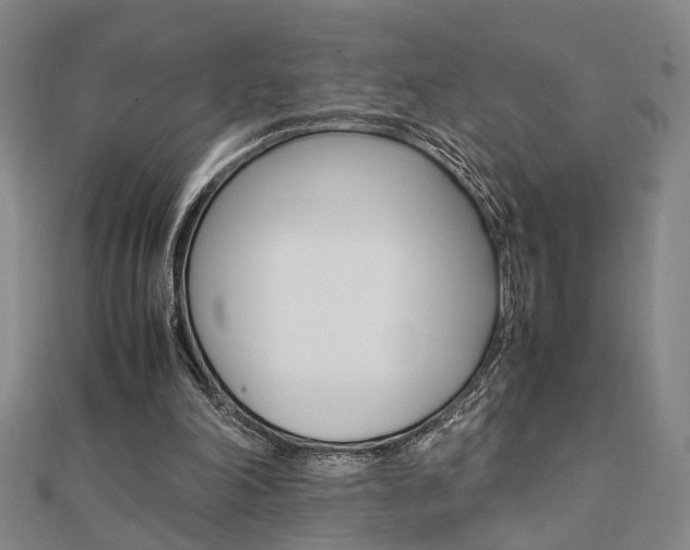 X0000112050198200908040957