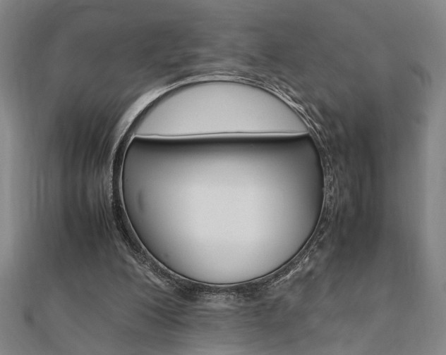 X0000112050200200908040957