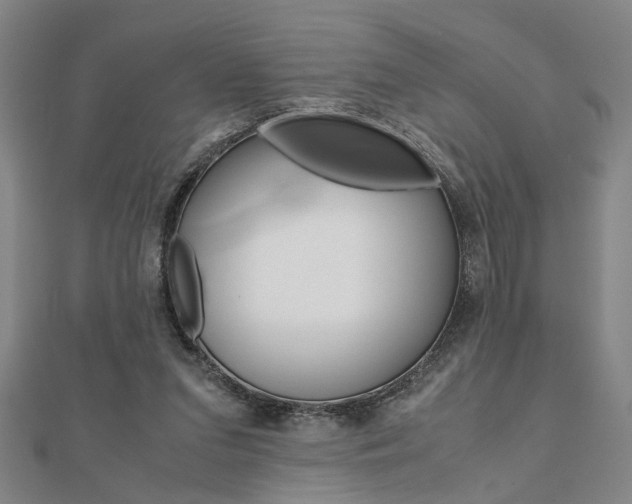 X0000112050207200908040957