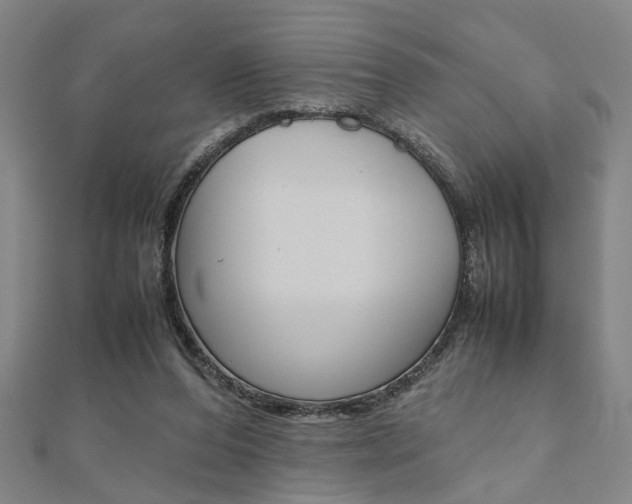X0000112050208200908040957