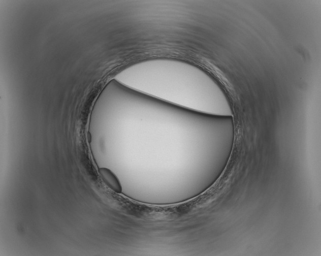 X0000112050209200908040956