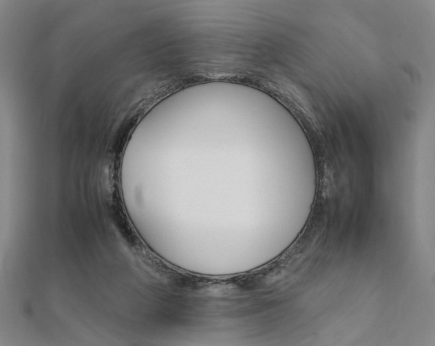 X0000112050210200908040956