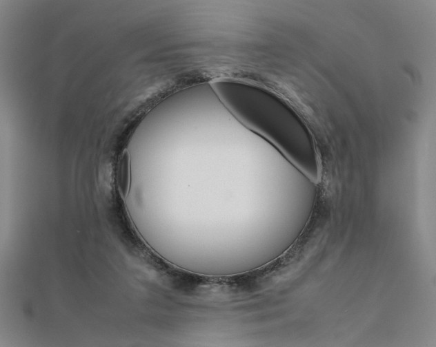 X0000112050211200908040956