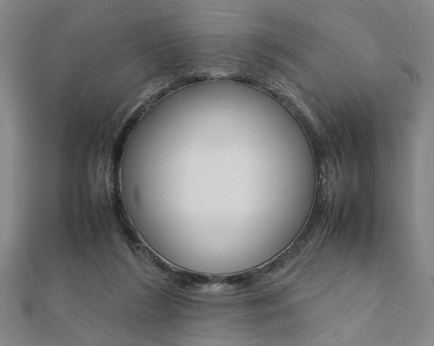 X0000112050212200908040956