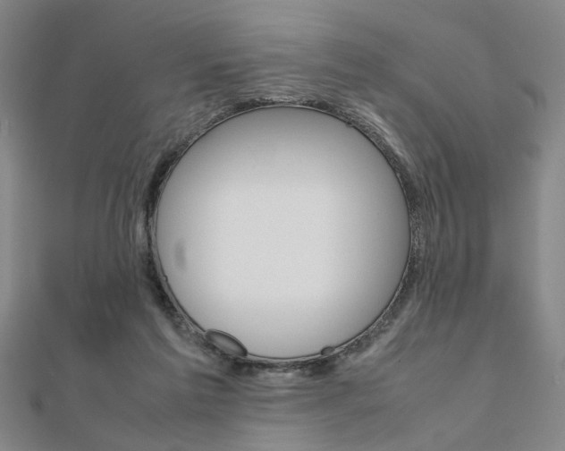X0000112050213200908040956