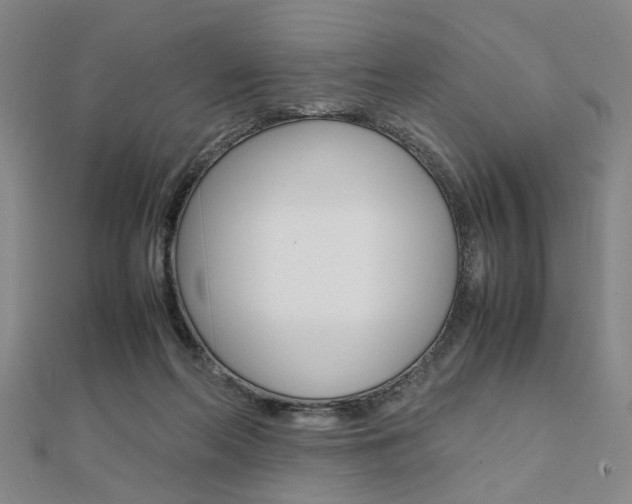 X0000112050214200908040956