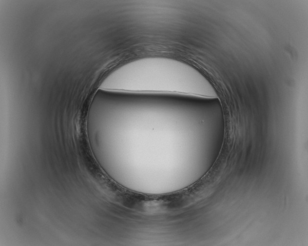 X0000112050216200908040956