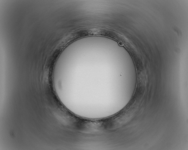 X0000112050217200908040956