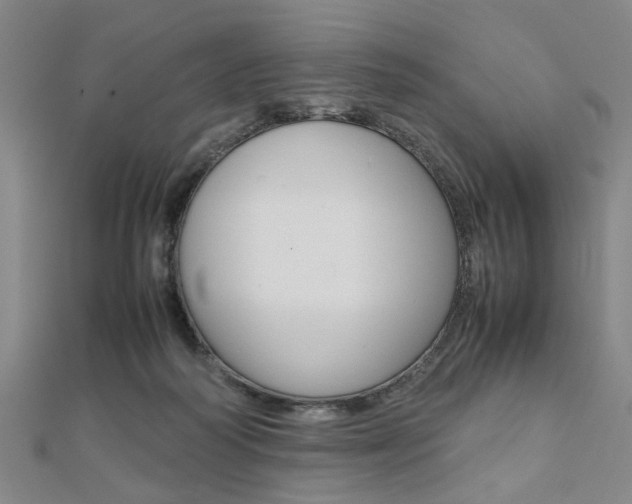 X0000112050218200908040956