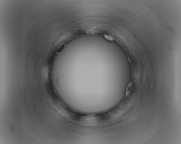 X0000112050219200908040956