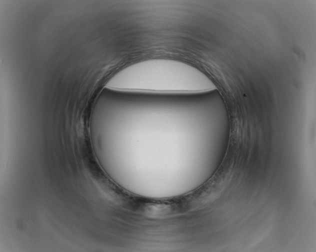 X0000112050220200908040956