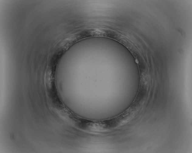 X0000112050223200908040956