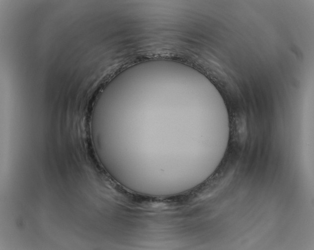 X0000112050224200908040956