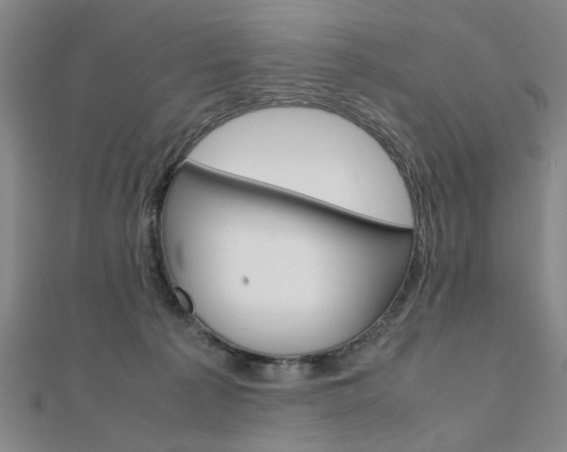 X0000112050225200908040956