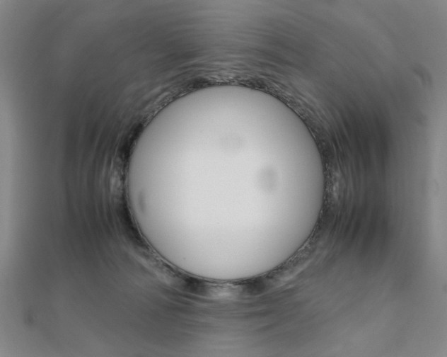 X0000112050226200908040956