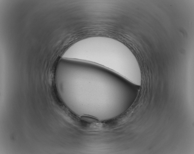 X0000112050227200908040956