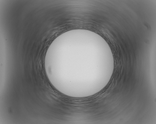X0000112050229200908040956
