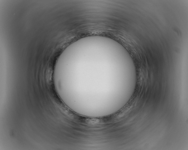 X0000112050230200908040956