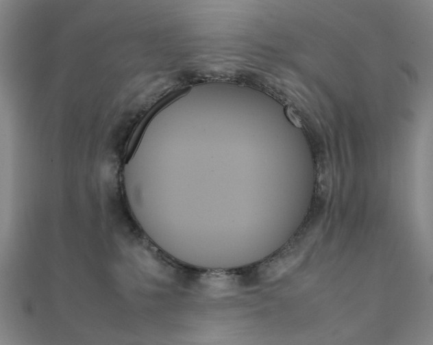 X0000112050231200908040956