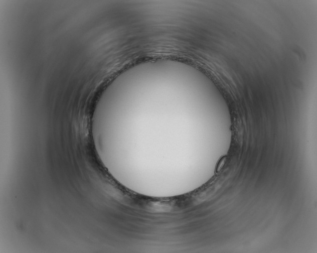 X0000112050232200908040956