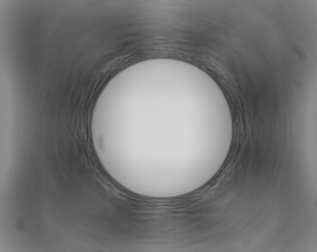 X0000112050233200908040956