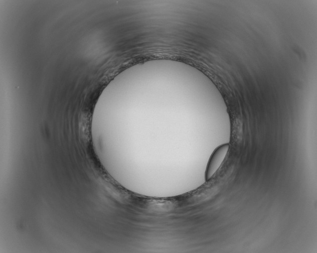 X0000112050234200908040956