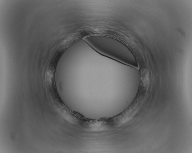 X0000112050235200908040956