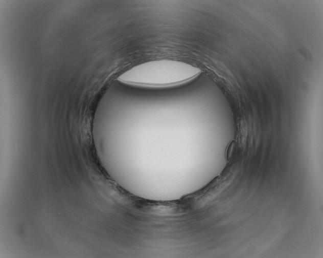 X0000112050236200908040956
