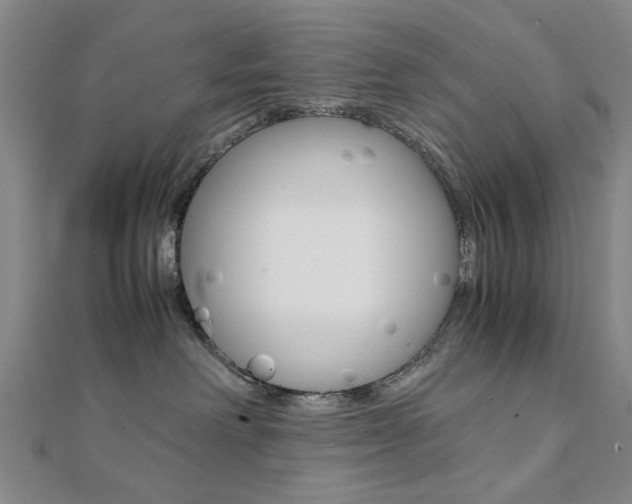 X0000112050238200908040956