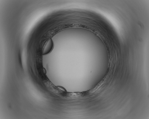 X0000112050239200908040956